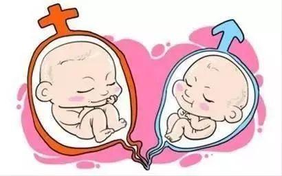 卵子凍結保存